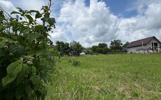Teren intravilan 1797 mp în Dobrovăț (Ruși), lângă pădure, cu utilități și amenajări existente - Poză 6