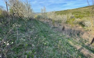 Tren Soporului Intravilan ,5500 MP Utilitati,  Oportunitate - Poză 5