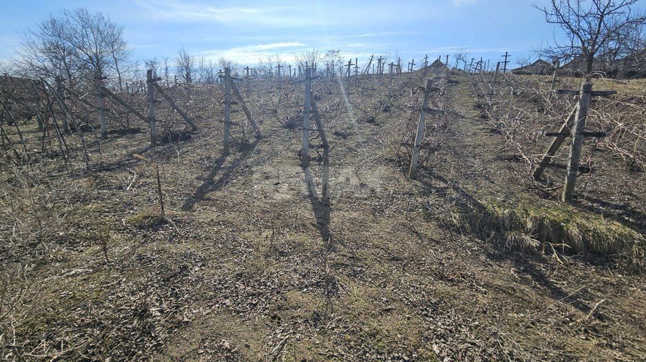 Teren pentru construcții 10 ari Vasieni, Ialoveni - Poză 4
