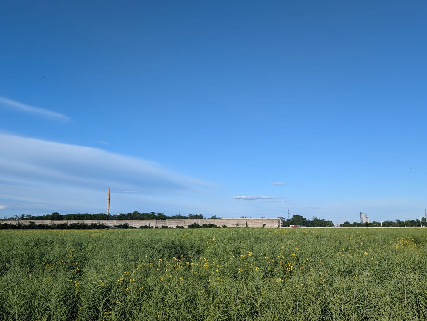 Teren de vanzare Domnești - Str. Narciselor - 20312mp - Poză 3