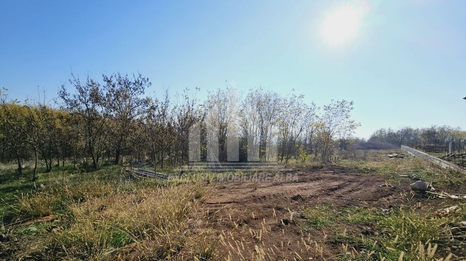 Teren intravilan de vanzare, Podei - Poză 3