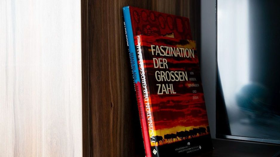 Vila de inchiriat | Silistea Snagovului | Aproape de lac-ponton privat | Jacuzzi - Poză 8