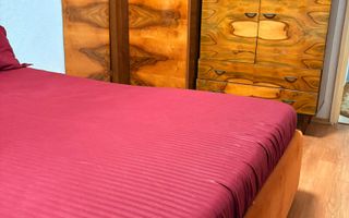 Apartament 2 camere– Lăpușneanu / Satul de Vacanță - Poză 8