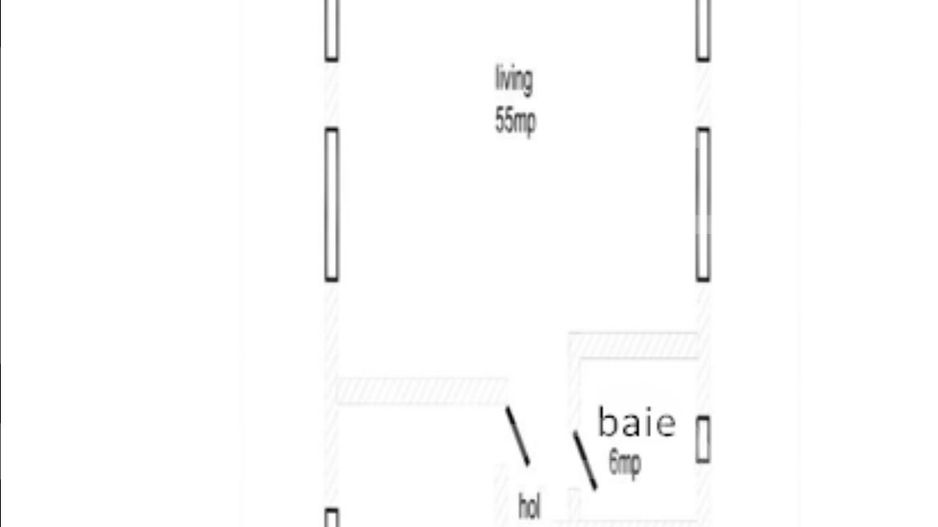 Vilă cu 7 camere de vânzare P+E+M in orasul Pantelimon - Poză 26