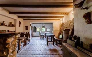 Domeniu în satul Căprioara - Poză 73