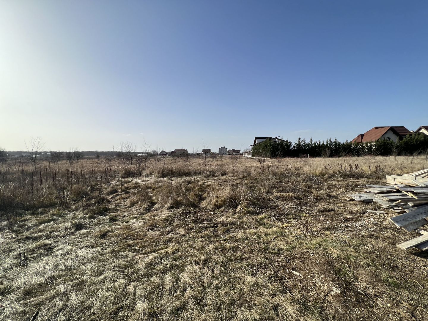 Teren Balotesti - Privighetorilor (Parcului Edenland) - Poză 2