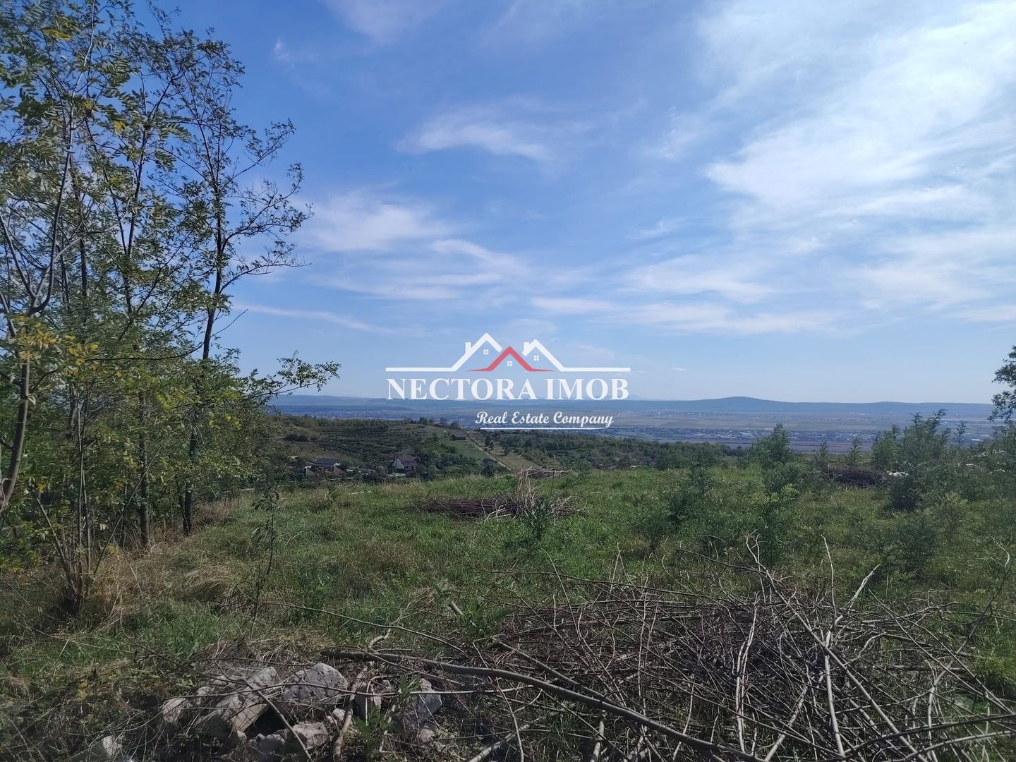 NECTORA IMOB-Teren Saldabagiu de Munte, 2350 mp, 21 ml front stradal - Poză 4