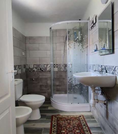 CASA RECAS CU 1438 MP TEREN - Poză 10