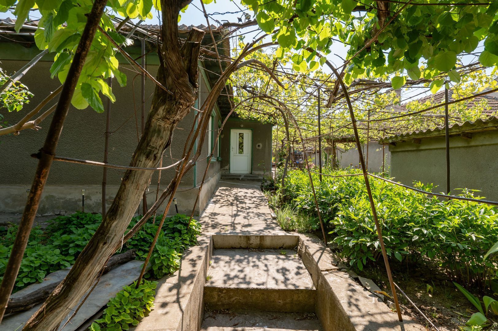 Casă demolabila+teren 819 mp | Zona Stadion |str. Pictor N. Grigorescu - Poză 3
