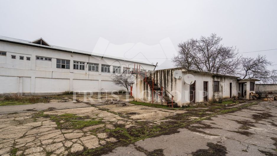 Teren 28.788m + Hale industriale + Sediu Firma - Poză 37