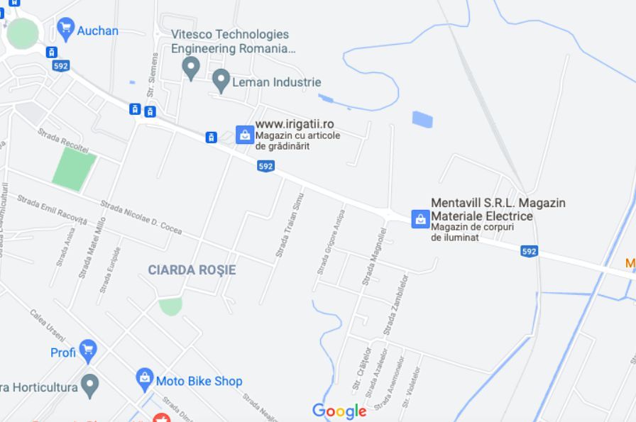 Teren calea Buziașului - Poză 3