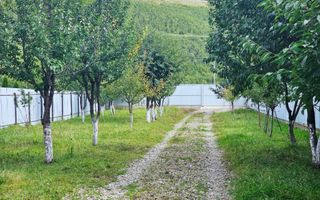 Casa | Foisor | Livada | Teren 2000 mp | Zizin | Brasov - Poză 22