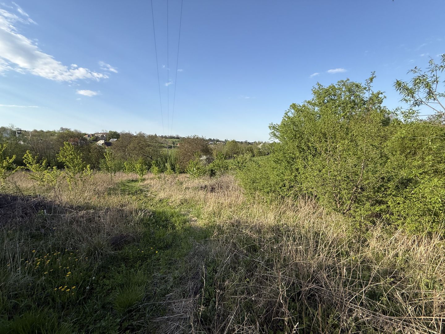Casă de vânzare | Horodniceni | 3200 MP Teren intravilan - Poză 12