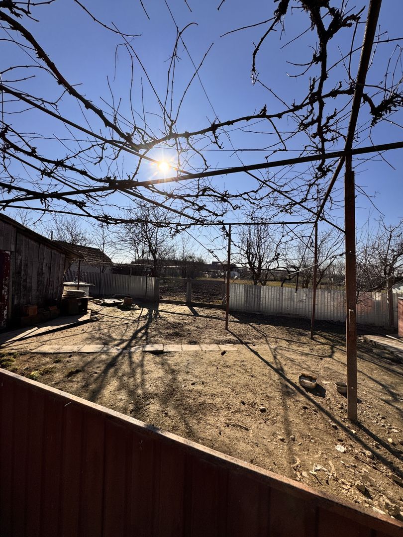 Casă de vânzare în Roit, lângă Oradea – teren 1.413 mp - Poză 3