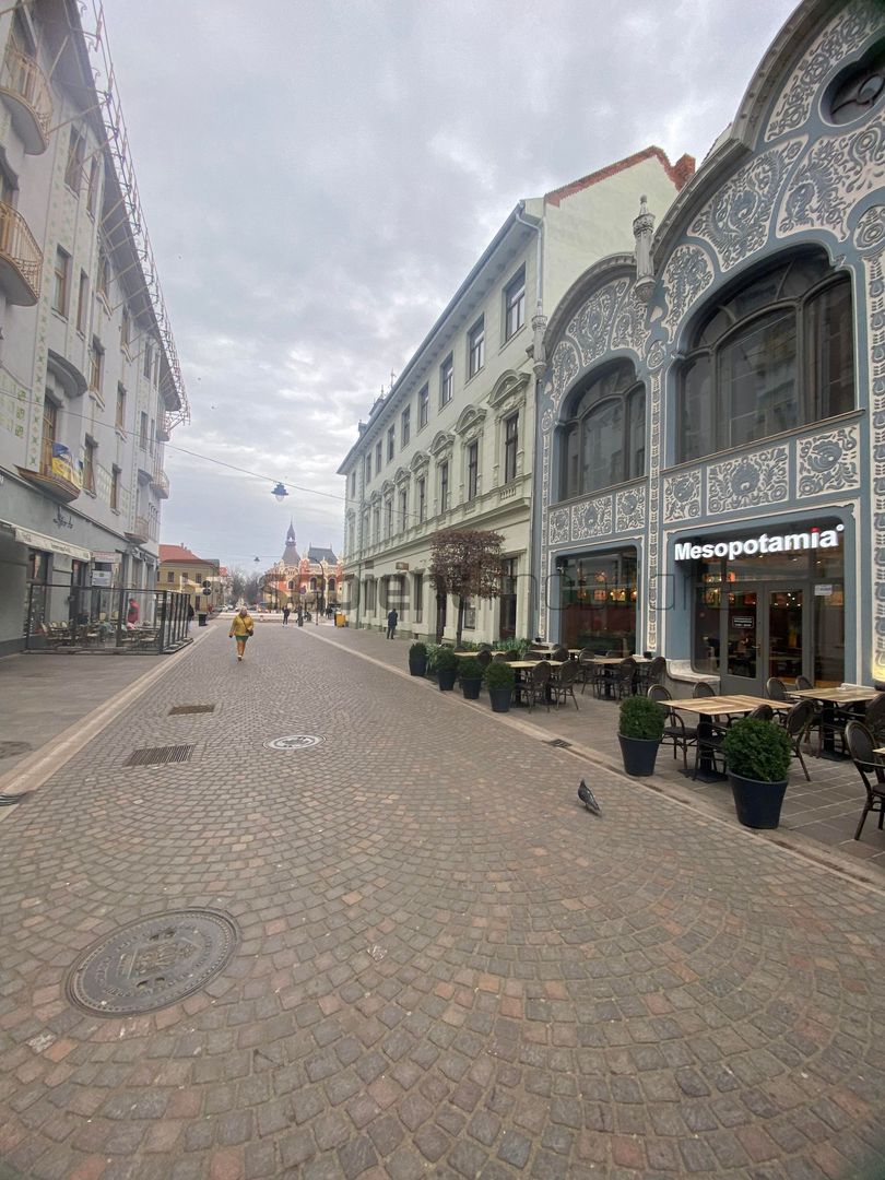 Spatiu comercial ultracentral, Vasile Alecsandri - Poză 3
