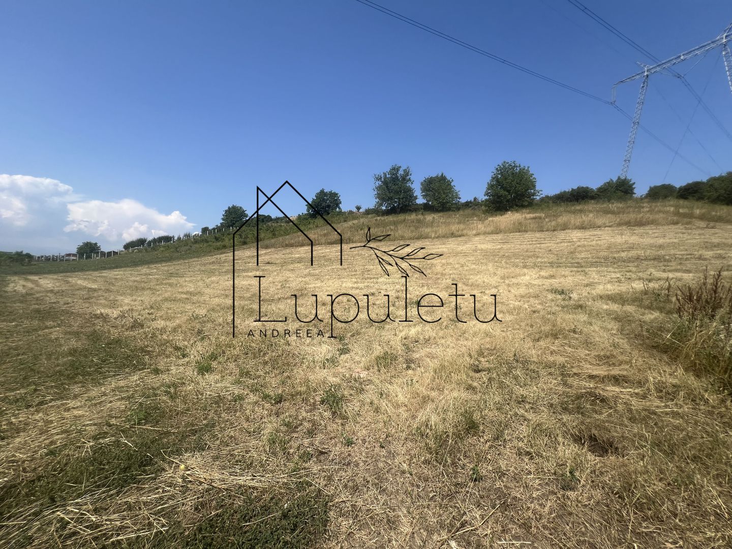 Teren Intravilan |5.000 MPU | Șura-Mare | - Poză 6