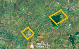 Teren agricol de vânzare în comuna Zărand, județul Arad – 34 ha - Poză 2