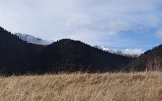 In locatia de basm: - Pestera, Moieciu, Brasov, utilitati, accesibilitate - Poză 22