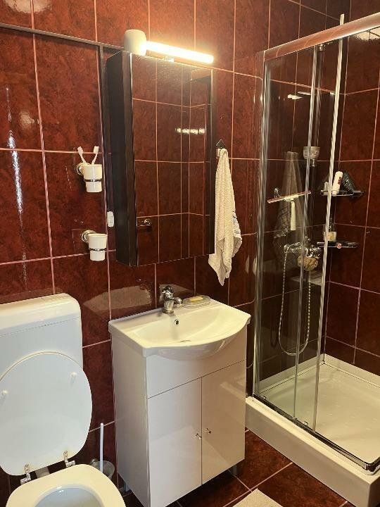 Apartament cochet 3 camere Gradina Botanica - Poză 4