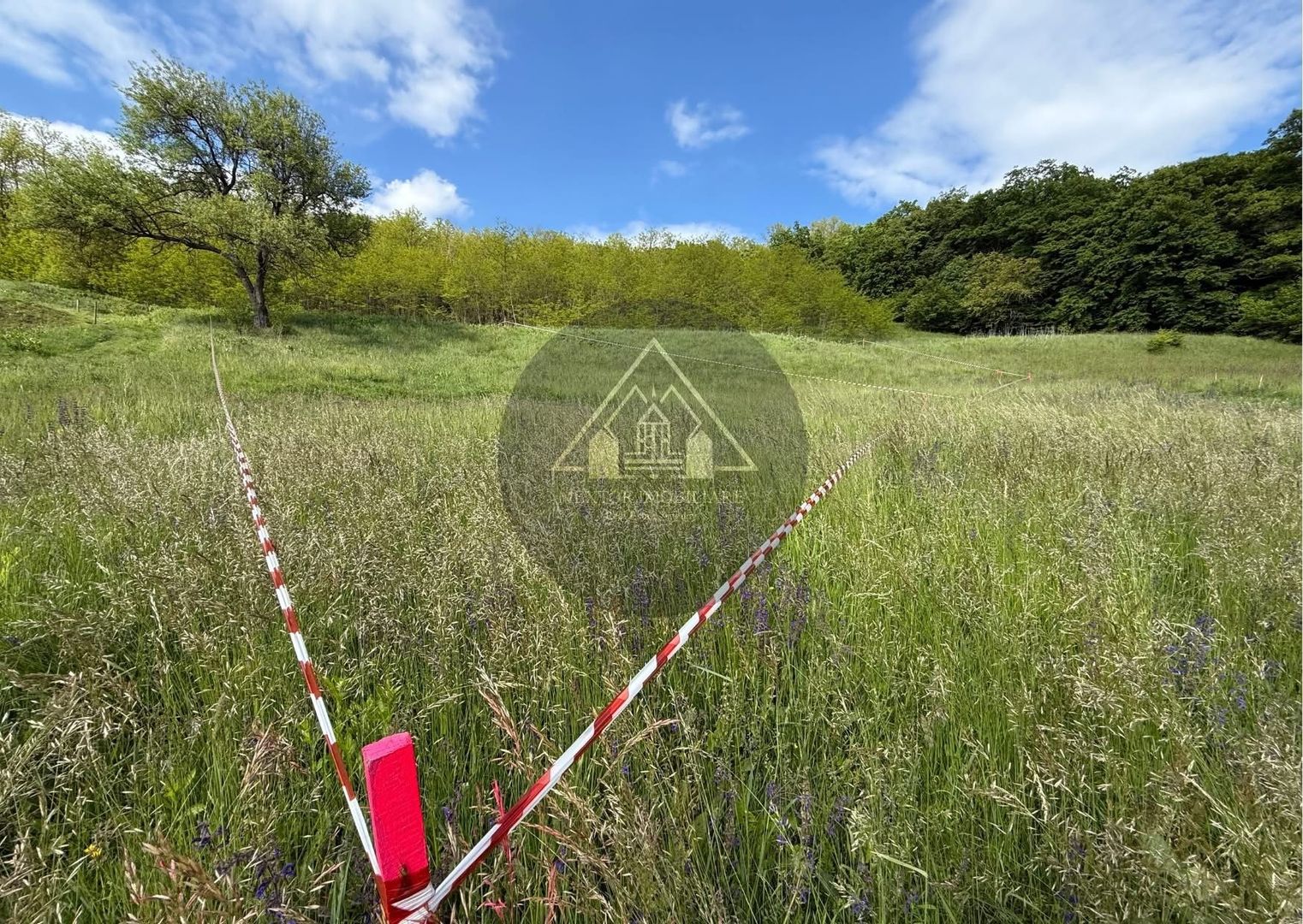 Teren de casa cu PUZ, Mosnei - Poză 5