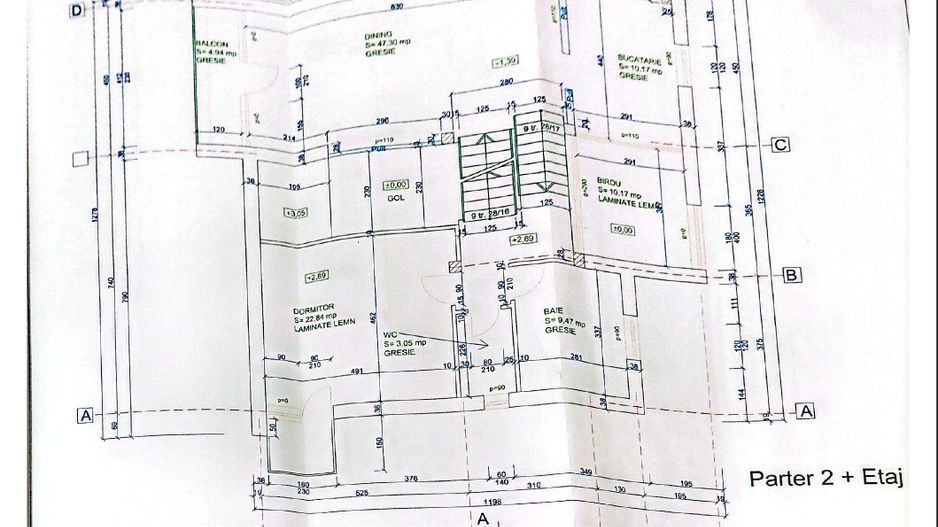 Casa in Calea Aradului pretabilă activități economice - Poză 35