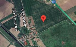 Teren intravilan de vânzare Cernica – Tânganu | 4 loturi x 954 mp | Investiție - Poză 3