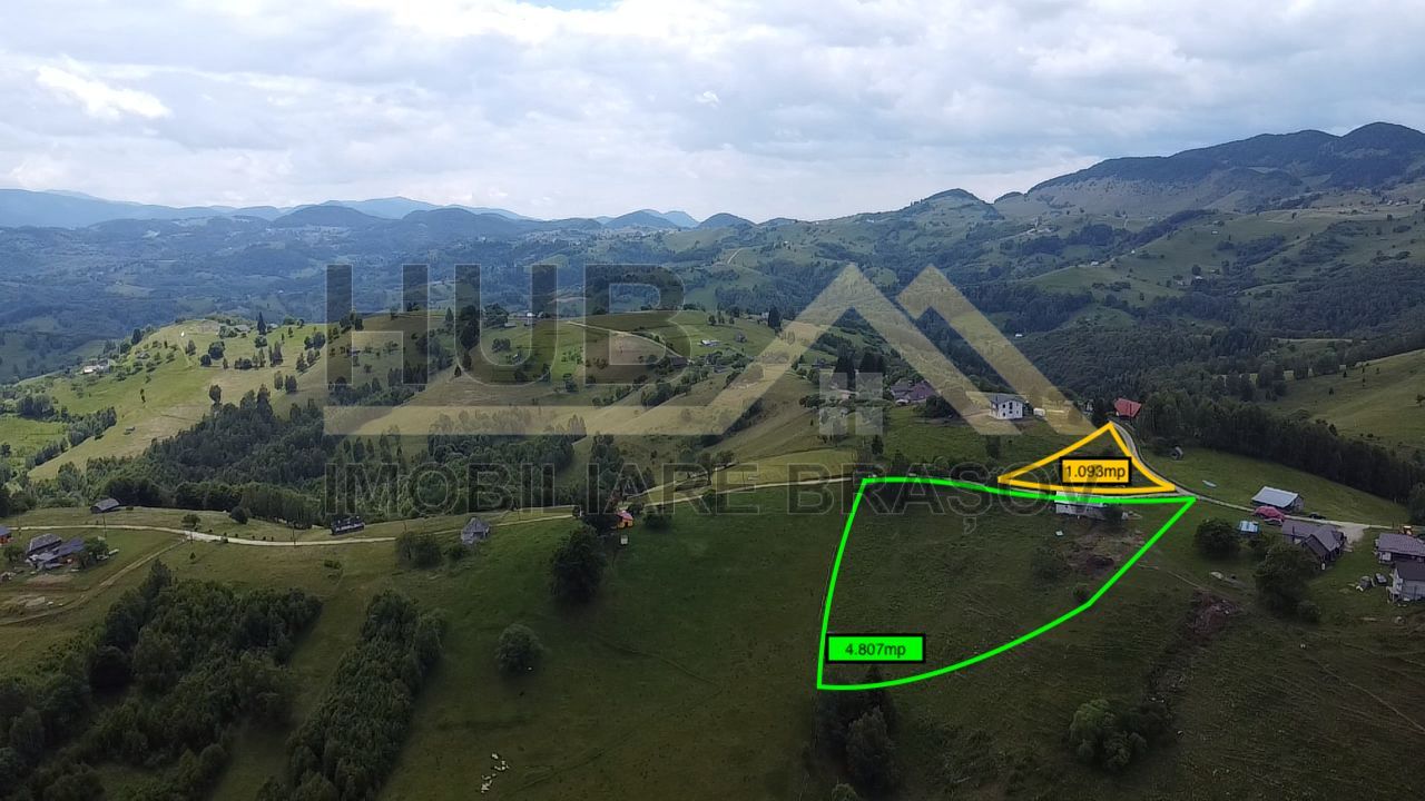 Oportunitate Investitie | Teren Pestera | 4.807mp | Utilitati Gaz/Curent - Poză 2