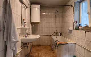 Refugiul la marginea pădurii in Orșova, pe malul Dunării - Poză 10