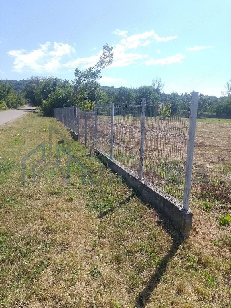Teren intravilan 2500 mp cu deschidere de 35 m la strada principală, Dobrovăț - Poză 7