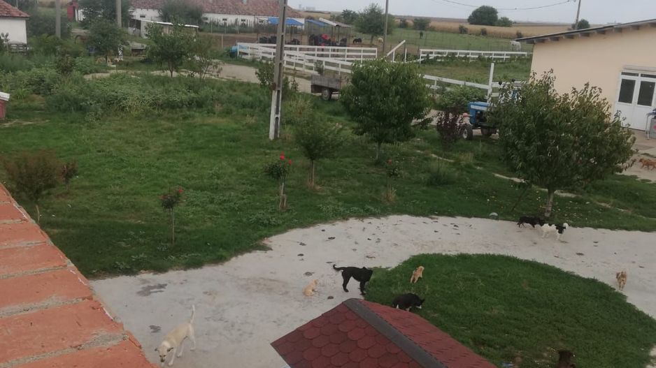 Ferma de vânzare - Poză 1