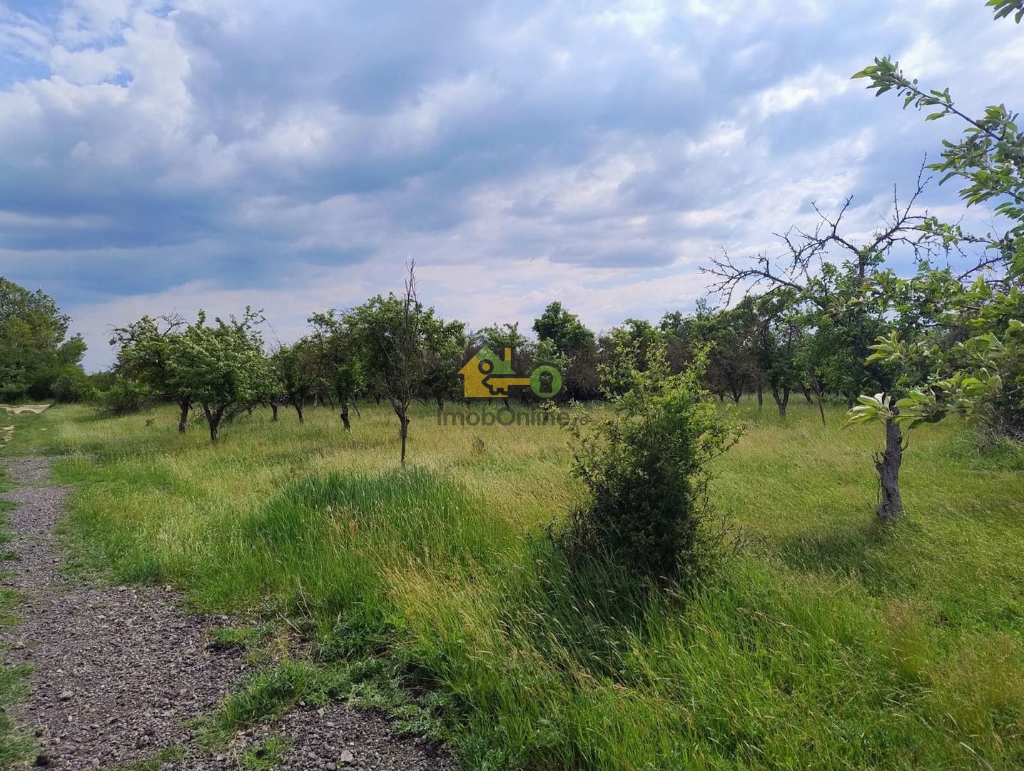 teren intravilan in sag 1271 mp - Poză 2