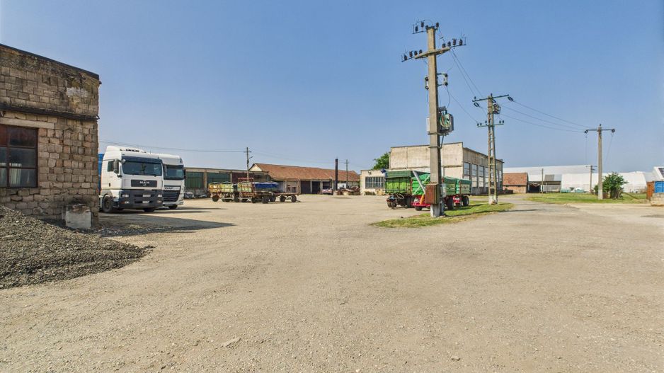 Complex industrial cu hale și teren  în Orțișoara - Poză 17