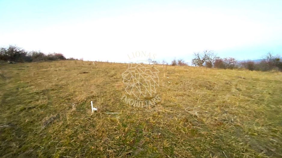 Teren intravilan-500 mp-ideal casa-Zona Valea Sigmirului Exclusiv - Poză 1