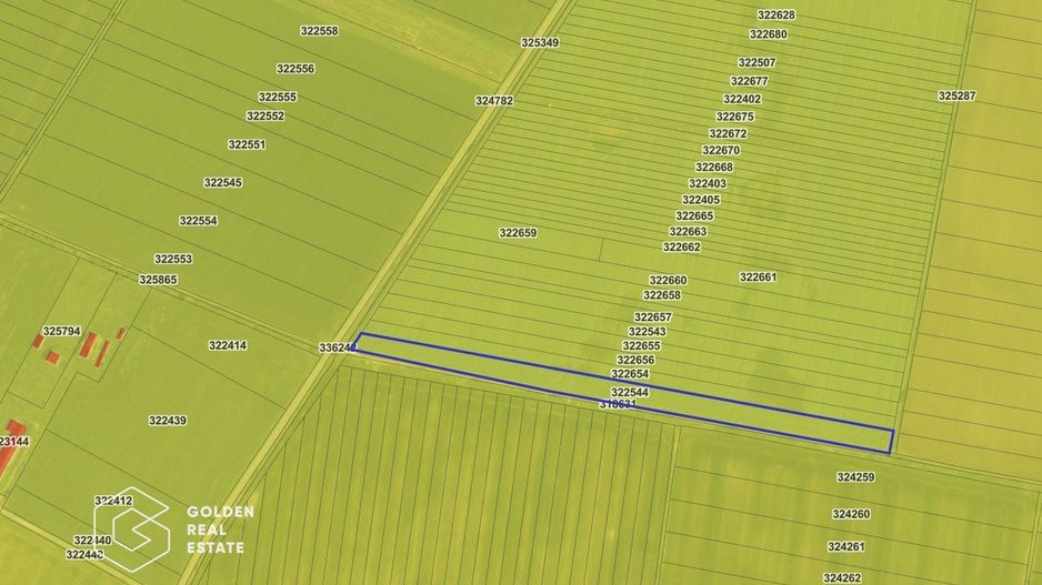 Teren agricol, 14 630 mp, Vladimirescu, ZERO COMISION - Poză 1