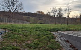 Casă complet renovată de vânzare în Amnaș – la doar 25 km de Sibiu! - Poză 50