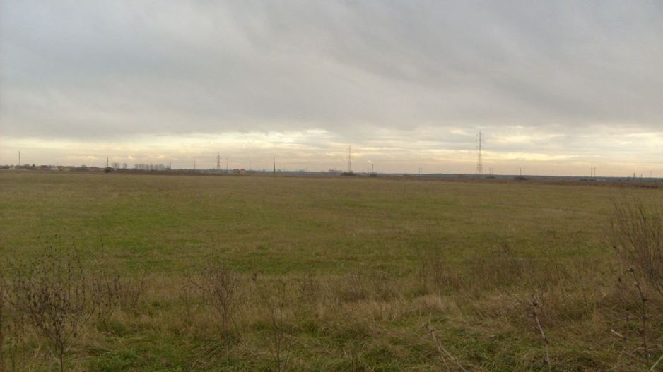 Teren Ciocanesti - Poză 4