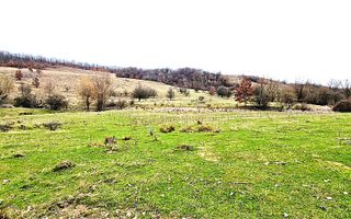 Terenuri extravilane de vânzare – Vizma & Crivobara, comuna Secaș, jud. Timiș - Poză 17