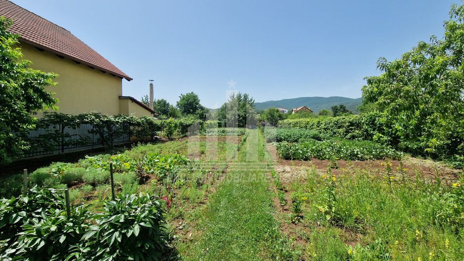 Teren intre Alba-Micesti, partea dreapta - Poză 1