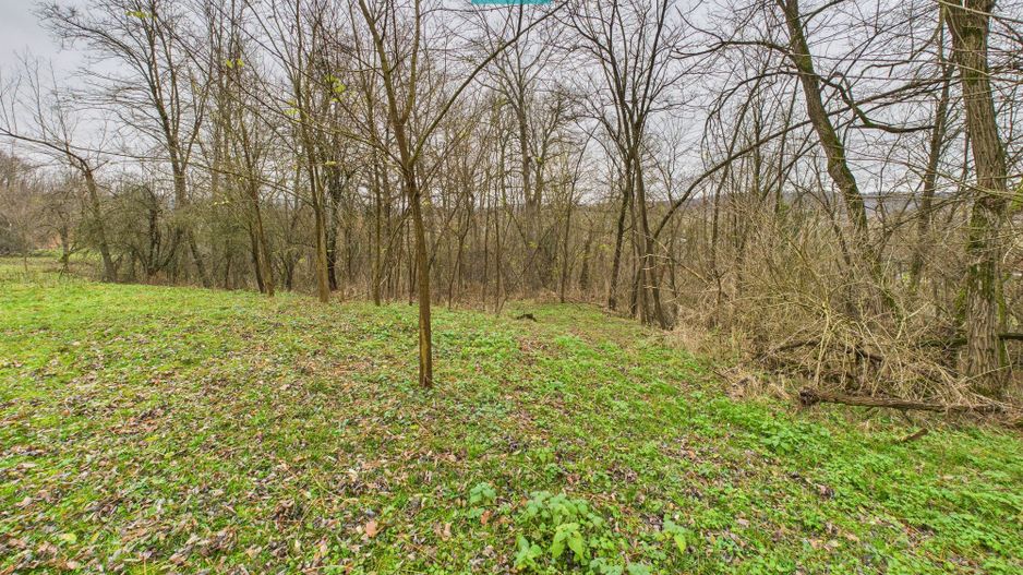 Casă cu teren de 24.679,73 mp, în Hălmagiu, Arad - Poză 35