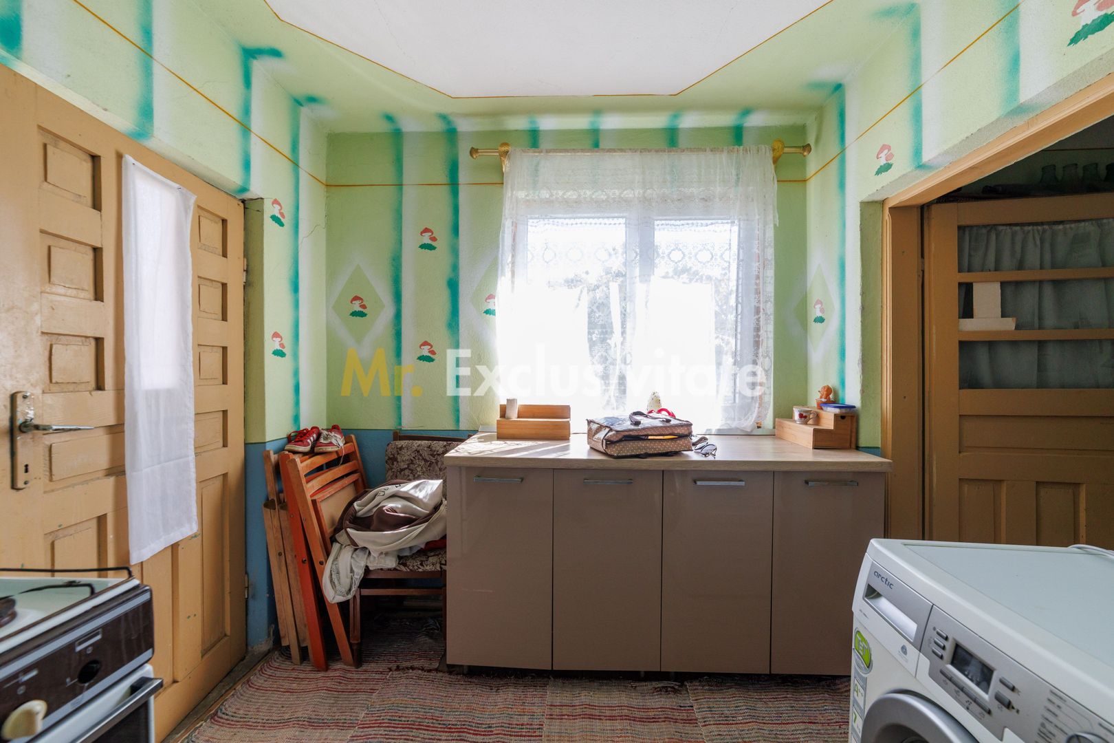 CASA SI GOSPODARIE DE VANZARE – SPINENI, OLT | 4.000 MP TEREN - Poză 8