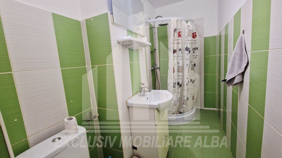 Apartament cu 3 camere, etajul 1, Cetate - zona Liceul Sportiv - Poză 8