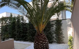 Casă / Vilă de vânzare în Central, Pantelimon - Poză 10