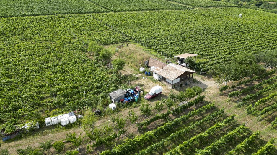 Vie Tradițională „Halta Lupilor” - Poză 45