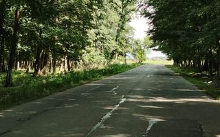 Casa Ciocanesti Cretu - 2 camere cu teren 2539 mp  - Jud. Dambovita - Poză 51