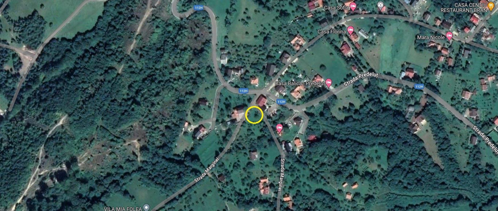 Teren Intravilan cu 2 Deschideri 4000mp Predelut-Bran | GOPO - Poză 5