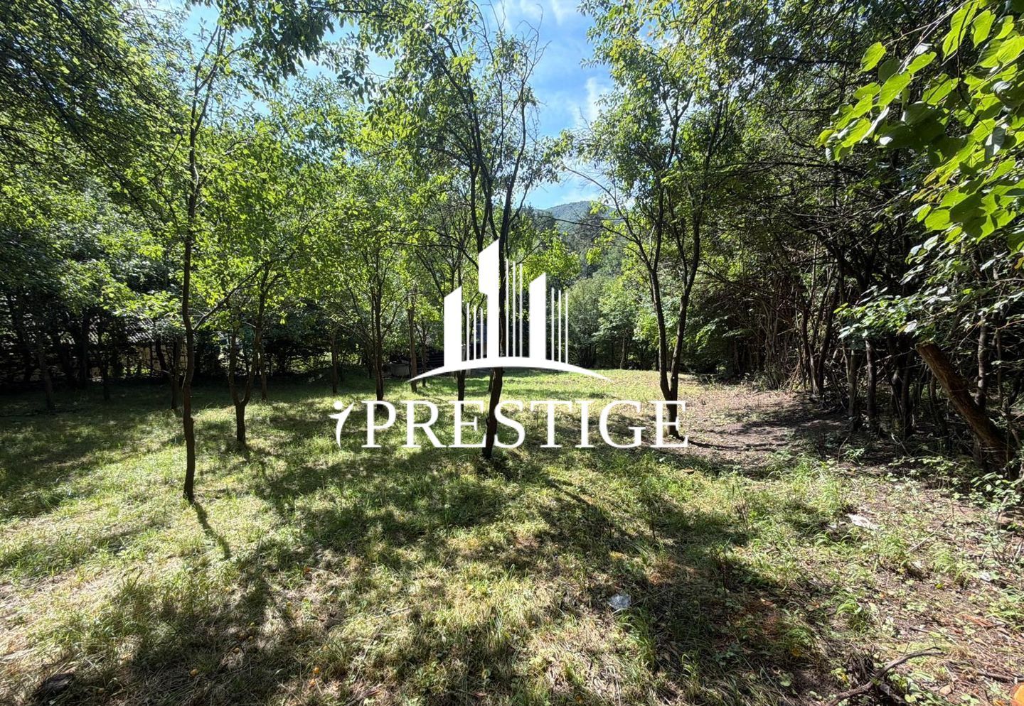 TEREN INTRAVILAN 1013 MP | UTILITĂȚI LA STRADĂ | ZONA PIATRA BROAȘTEI - Poză 3