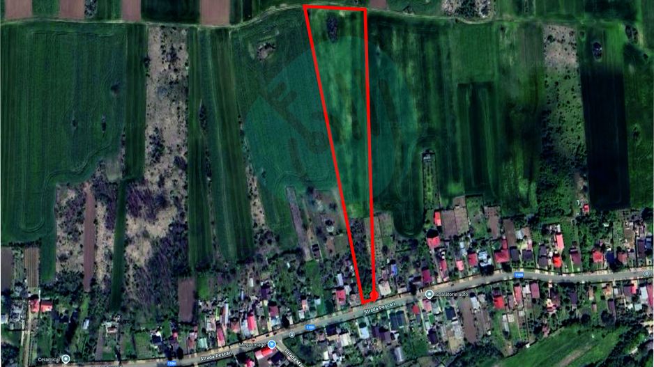 Teren 16534 mp pentru dezvoltare rezidențială, Siliștea Snagovului - Poză 2