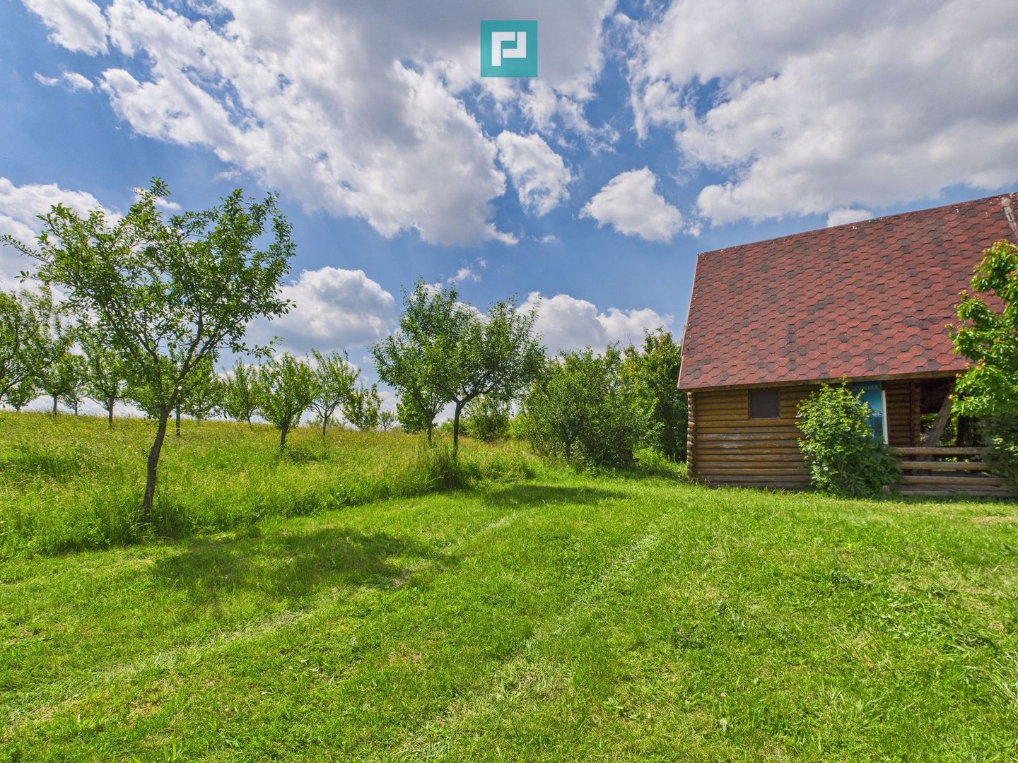 Teren cu baltă- oportunități multiple la Fibiș - Poză 44