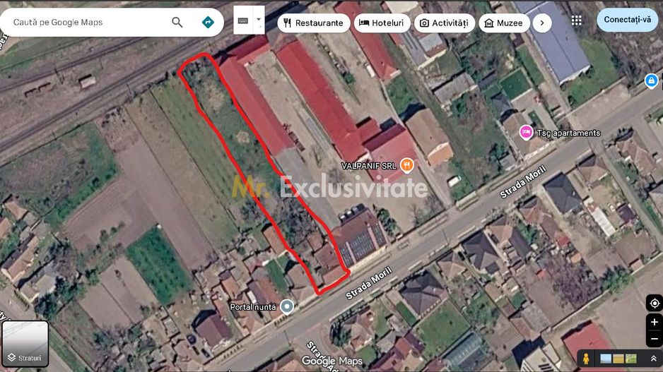 Casă de vânzare cu teren generos în Valea lui Mihai - Poză 10