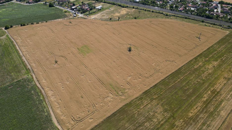 Tern intrevilan 4003 mp - Poză 11